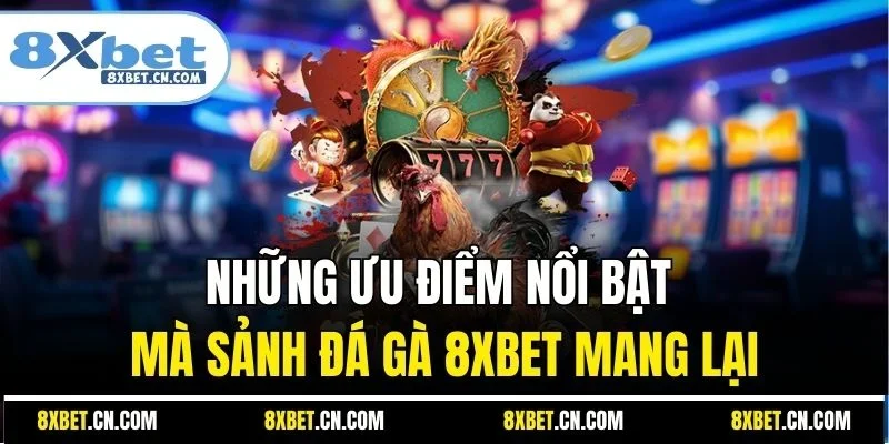 Những ưu điểm nổi bật mà sảnh đá gà 8XBET mang lại